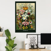 Ernst Haeckel's Orchidaceae Poster ポスター (ホームオフィス)
