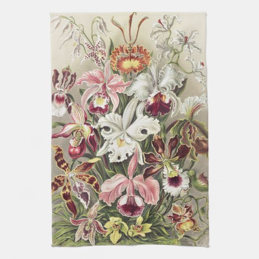 ErnstHaeckel Vintage Botanical Orchid Illustration キッチンタオル (縦)