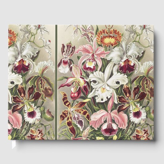 ErnstHaeckel Vintage Botanical Orchid Illustration ゲストブック (正面)