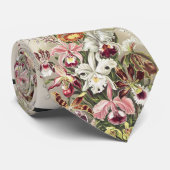 ErnstHaeckel Vintage Botanical Orchid Illustration ネクタイ (ロール)