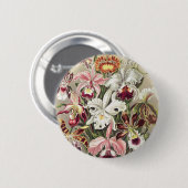 ErnstHaeckel Vintage Botanical Orchid Illustration 缶バッジ (正面&裏面)