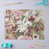 ErnstHaeckel Vintage Botanical Orchid Illustration 薄葉紙 (クラフト)
