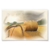 Erntezeit フォトプリント (正面)