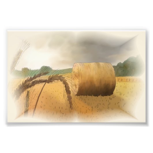 Erntezeit フォトプリント (正面)