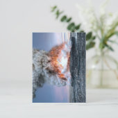 Eruption du volcan Kilauea à Hawaï, ポストカード (スタンド正面)