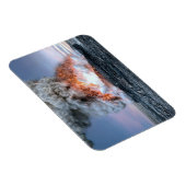 Eruption du volcan Kilauea à Hawaï, マグネット (右側)
