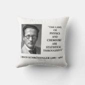 Erwin Schruline Physics Chemistry統計学 クッション (裏面)