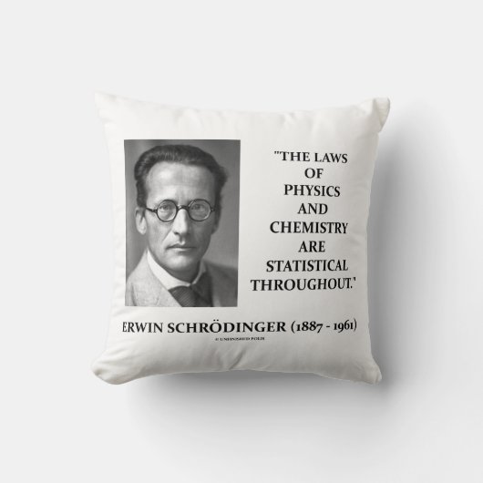 Erwin Schruline Physics Chemistry統計学 クッション (正面)
