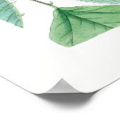 Erylina x bidwili 'Camdeni' ポスター (角)