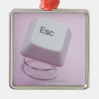ESCキーのクローズアップ メタルオーナメント