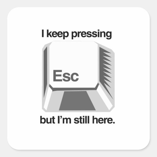 escキーを押し続ける スクエアシール (正面)