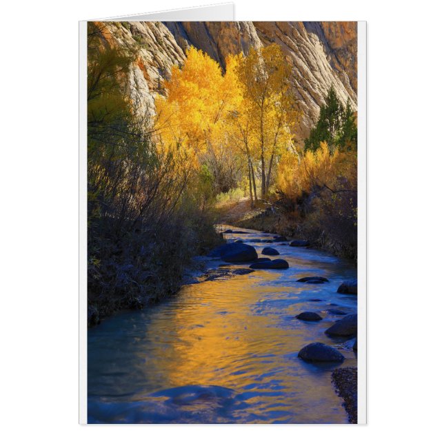 Escalanteの反射 (正面)