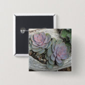 Escheveriaボタン 缶バッジ (正面&裏面)