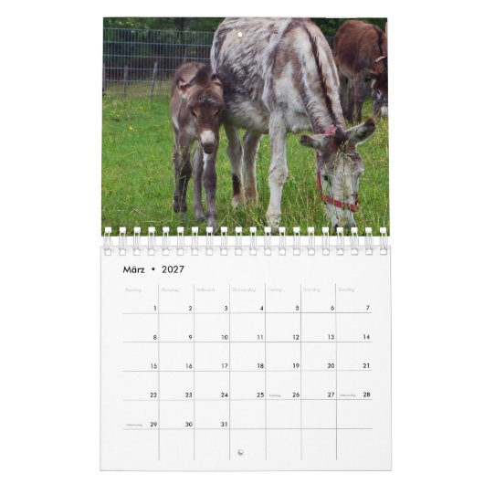 Esel oder Donkey als Kalender カレンダー (3月 2027)