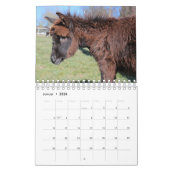 Esel oder Donkey als Kalender カレンダー (1月 2026)