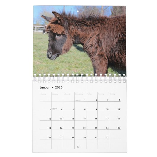 Esel oder Donkey als Kalender カレンダー (1月 2026)