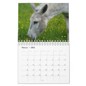 Esel oder Donkey als Kalender カレンダー (2月 2026)