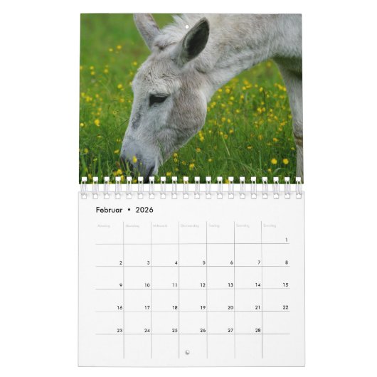Esel oder Donkey als Kalender カレンダー (2月 2026)