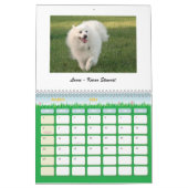 Eskieの救助者の統一されたな2010カレンダー カレンダー (3月 2026)