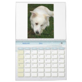 Eskieの救助者の統一されたな2010カレンダー カレンダー (2月 2026)