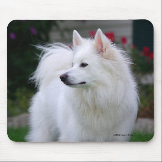 Eskieの豪奢なマウスパッド マウスパッド