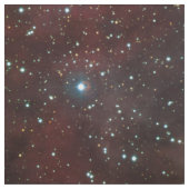 ESOによるカリーナの星雲 ファブリック (見本)