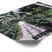 Espalier Apple Tree – ビジョン ポスター (角)