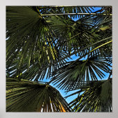 espiritu del verano ポスター (正面)