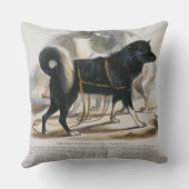 Esquimaux犬(イヌ属のfamiliaris)教育i クッション (裏面)