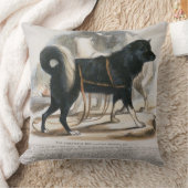 Esquimaux犬(イヌ属のfamiliaris)教育i クッション (ブランケット)