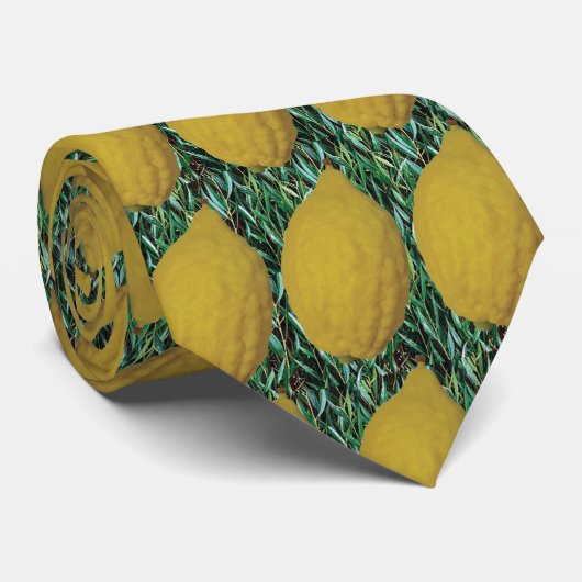 Esrog及びAravah ネクタイ (ロール)