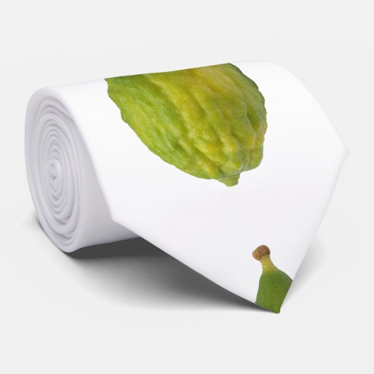 Esrog - Etrog ネクタイ (ロール)