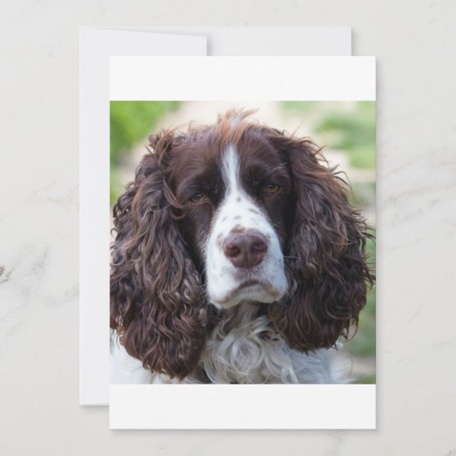 ESS肝白秒 (正面)