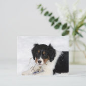 ess bwt子犬 ポストカード (スタンド正面)