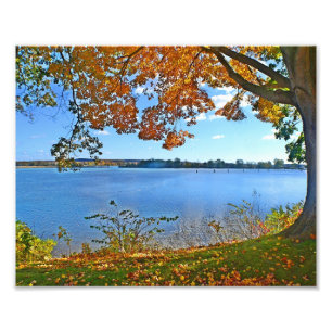 Essex In Autumnフォトプリント フォトプリント