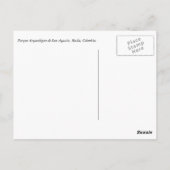 Estatia antigua que toca la flauta ポストカード (裏面)