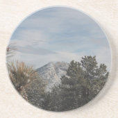 Estes公園 コースター (正面)