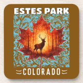 Estes Park コースター (正面)