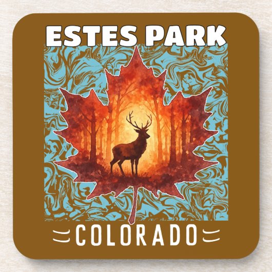 Estes Park コースター (正面)