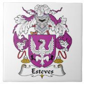 Estevesの家紋 タイル (正面)