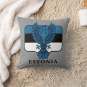 Estonia Northern Europe クッション (ブランケット)