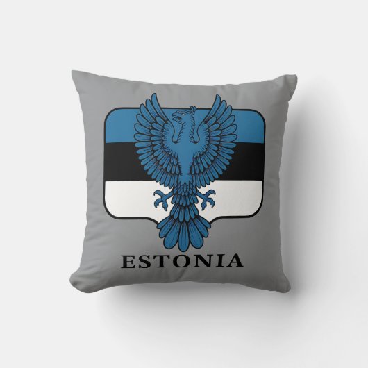 Estonia Northern Europe クッション (正面)