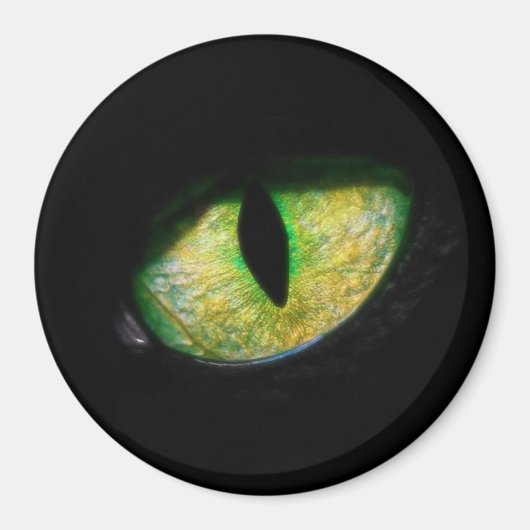 Estou de olho em você マグネット (正面)