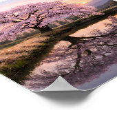 Eternal Cherry Blossom Reflection –  Art Print ポスター (角)