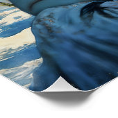 Eternal Kali ポスター (コーナー)