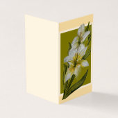 Eternal Rest Thank You Note (外部)