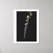 Ethereal Dance of Incense Smoke キャンバスプリント (正面)