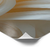 Ethereal Drapery in Paper ポスター (コーナー)