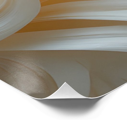 Ethereal Drapery in Paper ポスター (コーナー)