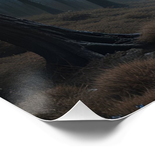 Ethereal Embroidered Dusk ポスター (コーナー)